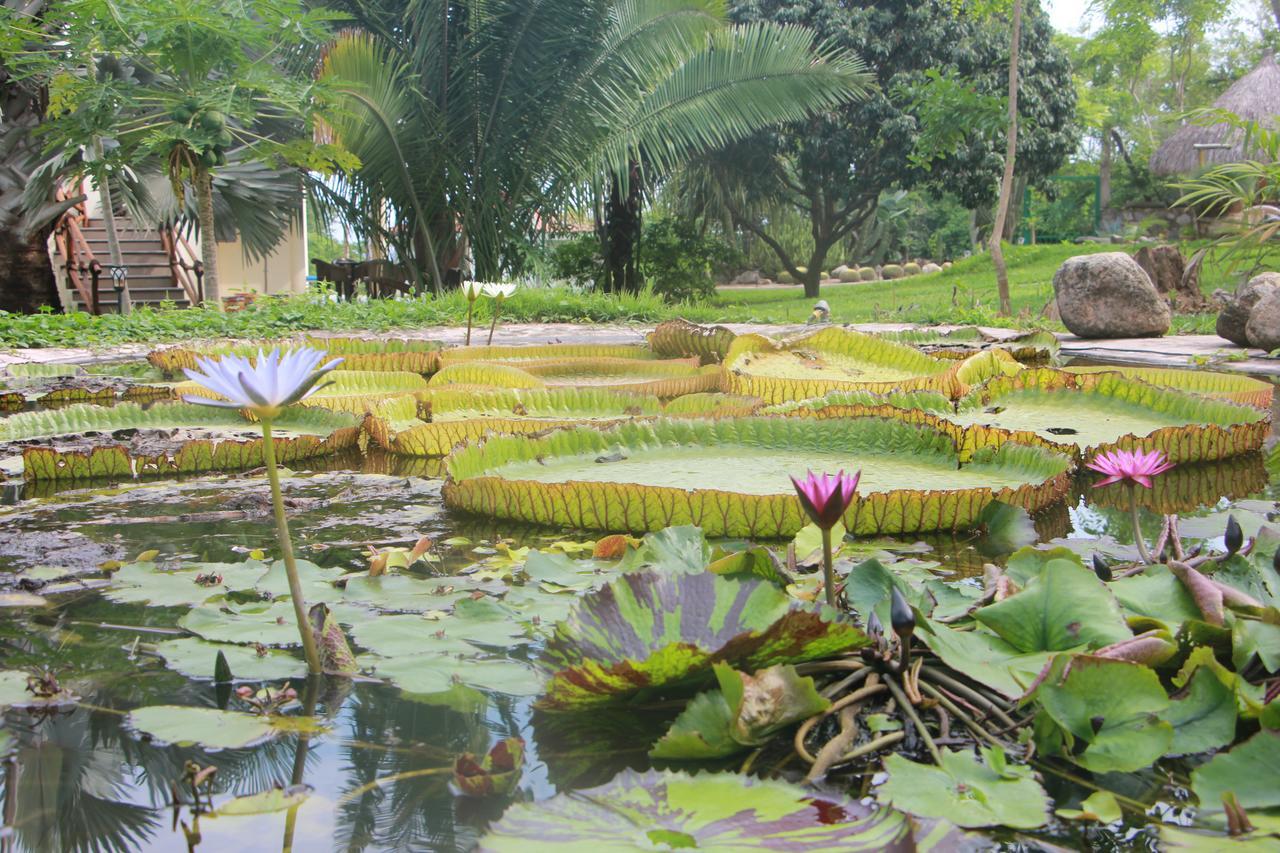 Casa Del Sol Aparthotel Lo de Marcos Ngoại thất bức ảnh